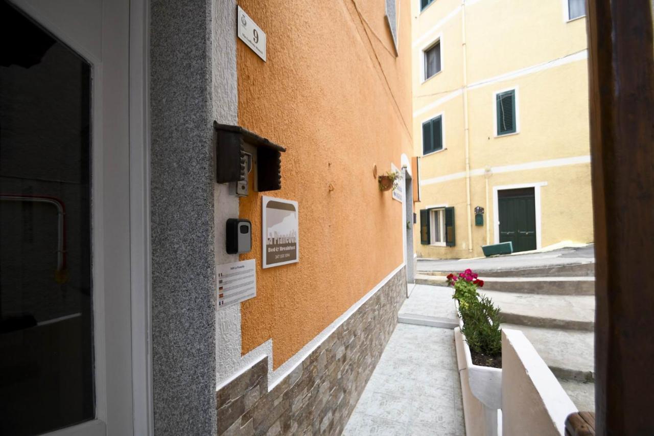B&B La Pianedda Castelsardo Exterior photo